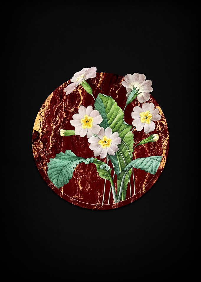 Grandiflora