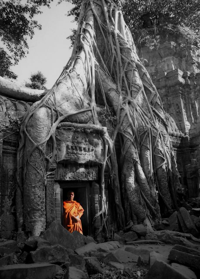 Ancient Alien Tree