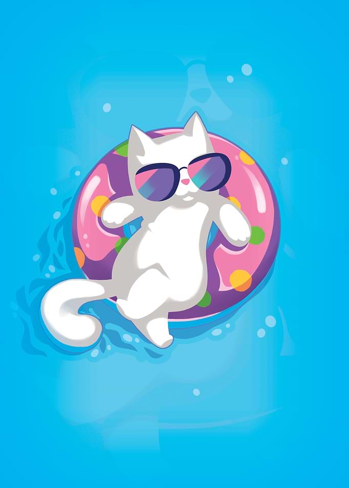 Beach Cat