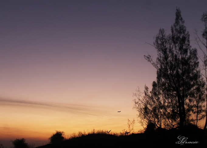 The Dawn
