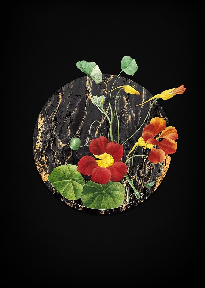 Monks Cress