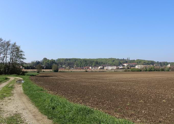 Field