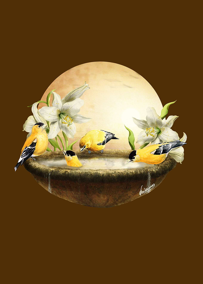 Sunny Birds