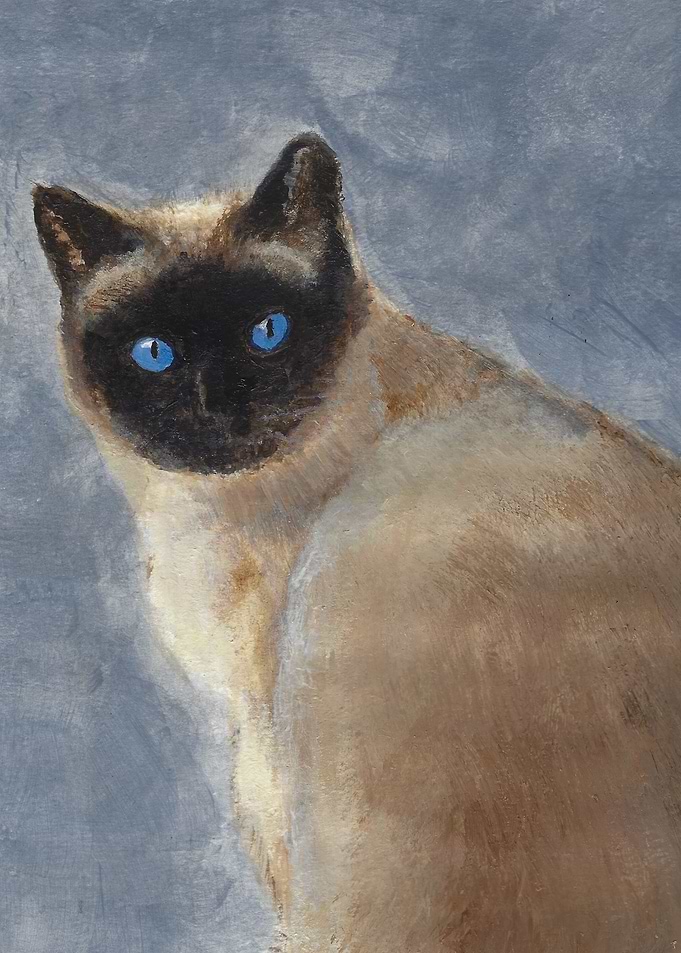 Mocha the Cat
