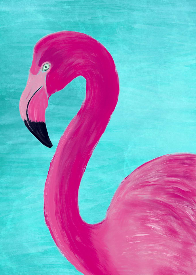Flamingo