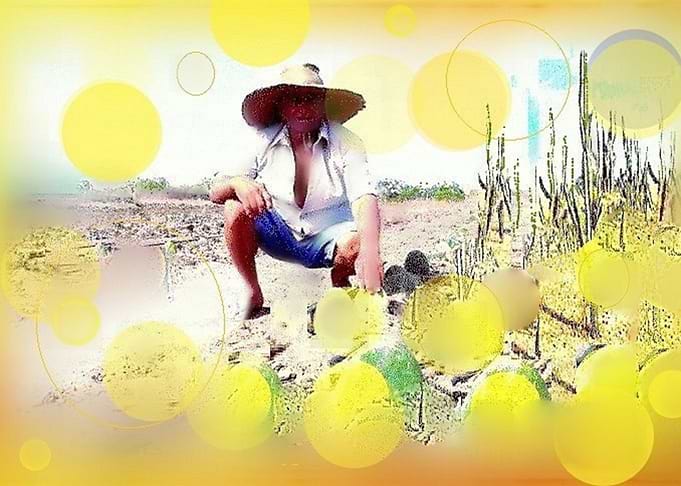 Sol da Caatinga