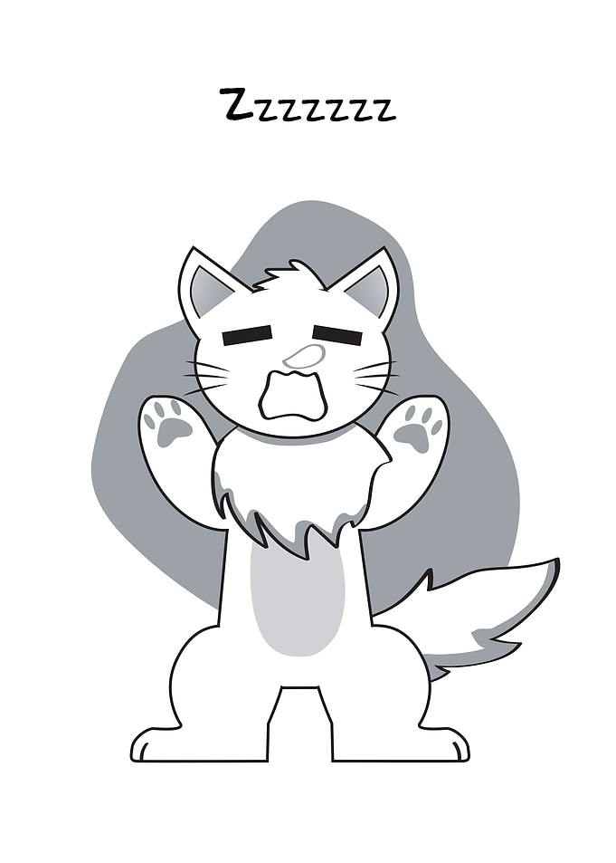 Cat Yawn Sleep