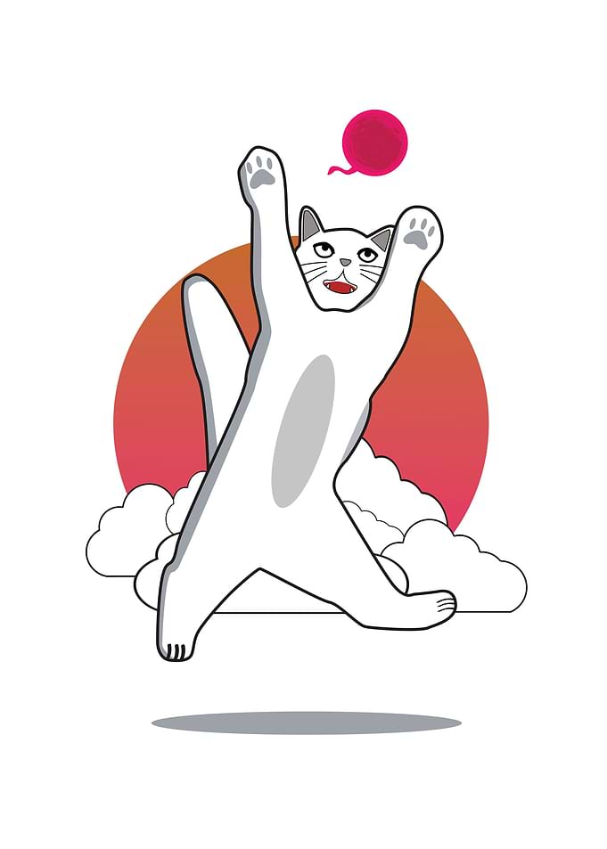 Cat Fly Catch Ball