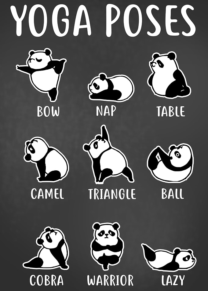 Yoga Poses Panda