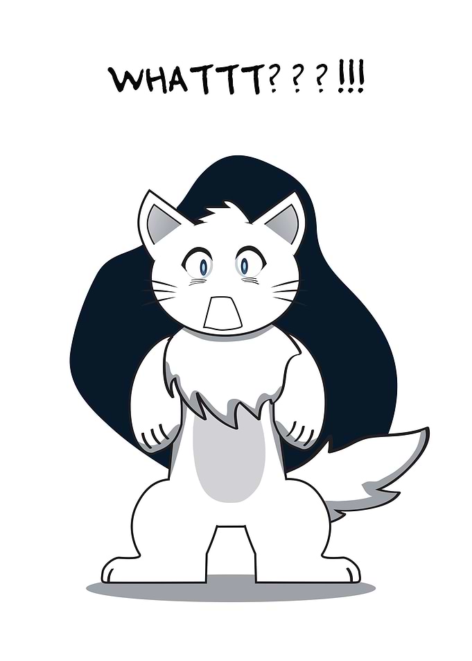 Cat Surprise