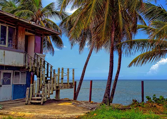 Beach House