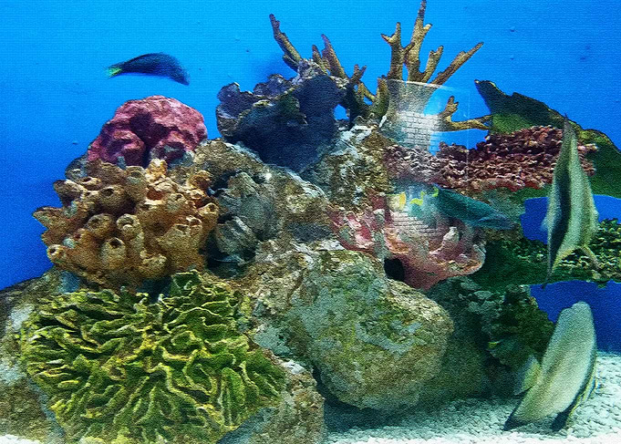 ocean 2