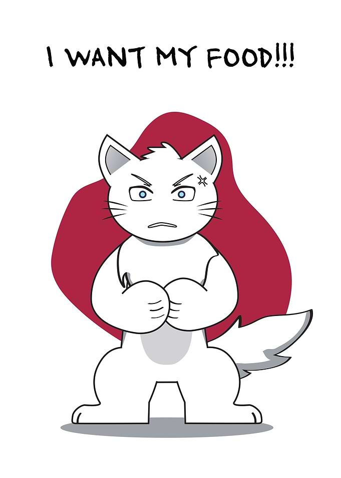 Cat Angry Want For Food
