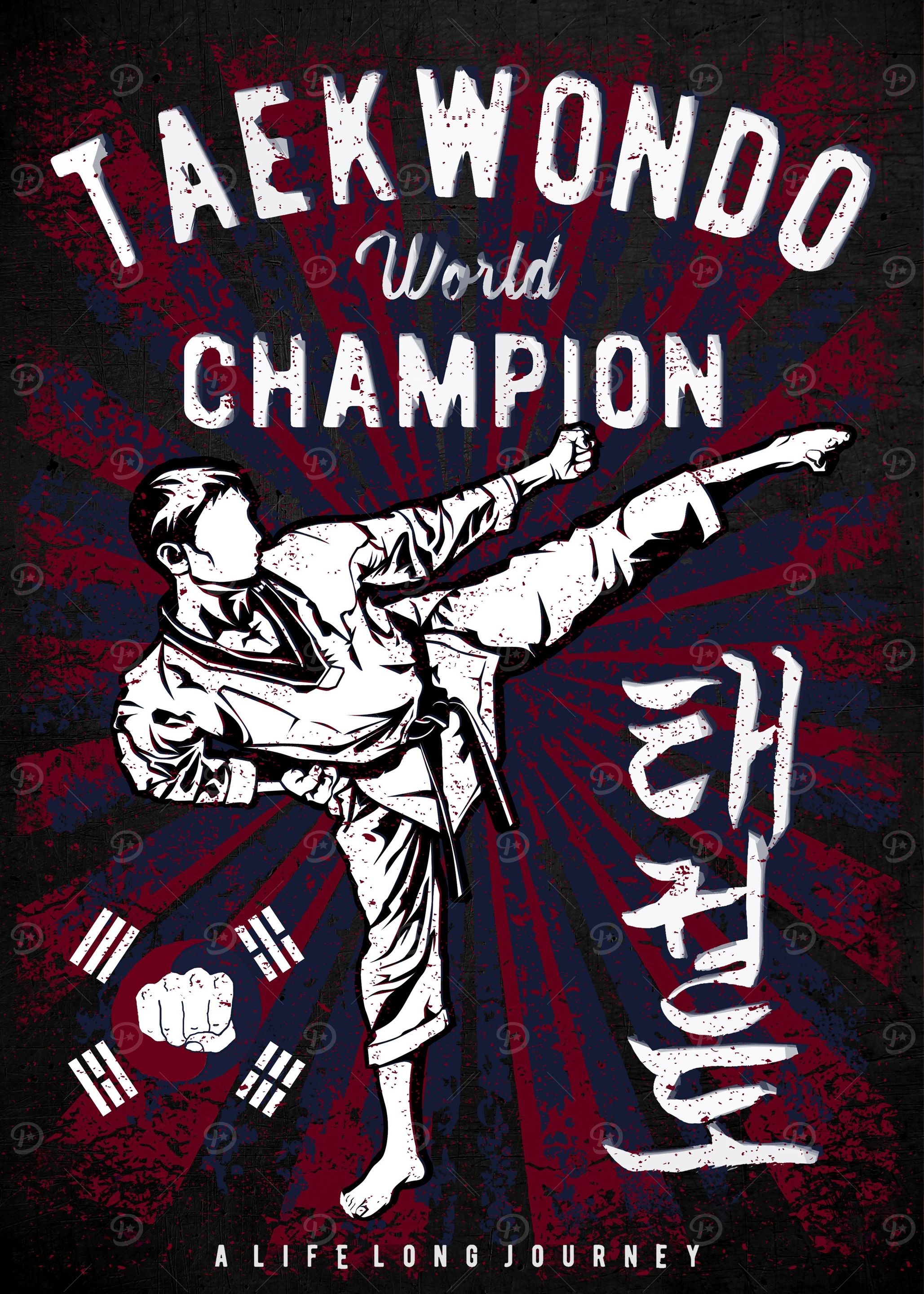 Taekwondo Champion