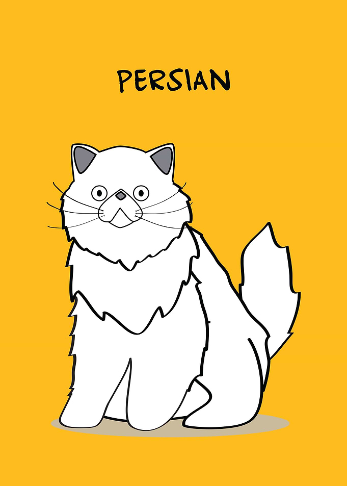 Persian Peaknose Cat