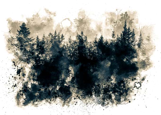 Dark Forest
