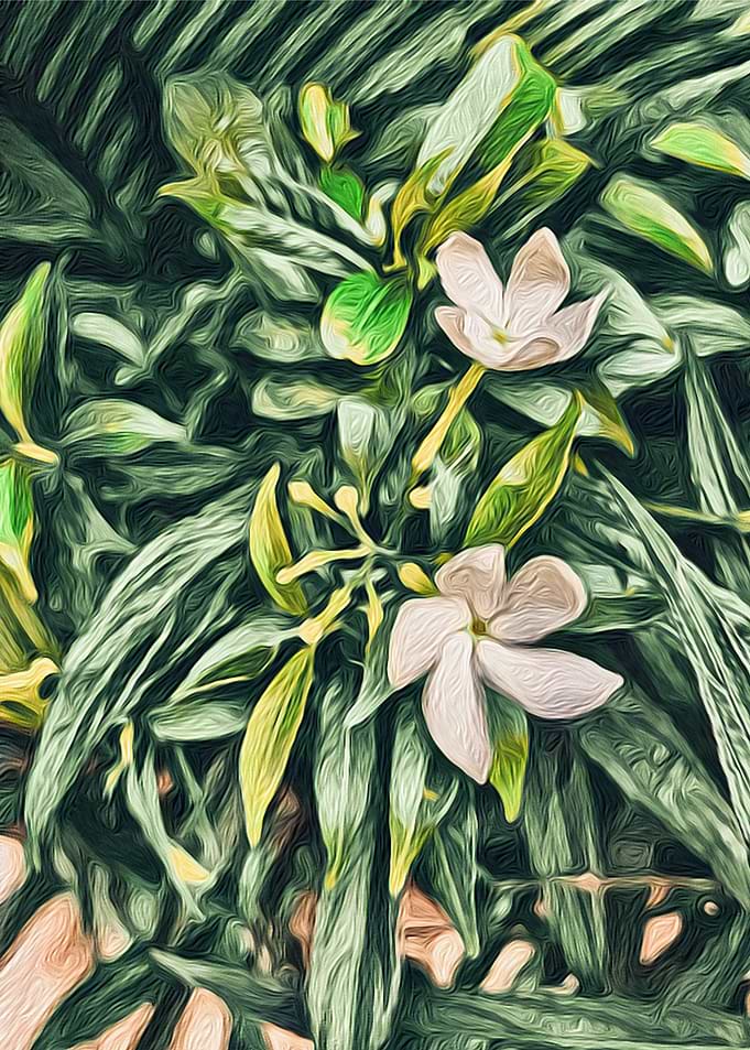 Green leaves and lily rain