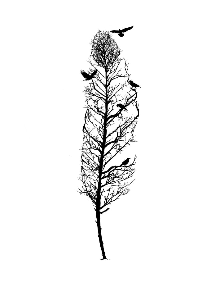 Feather