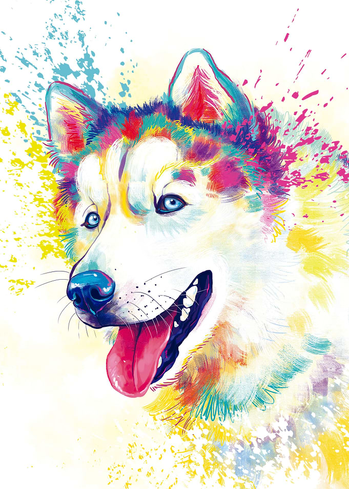 Siberian Husky