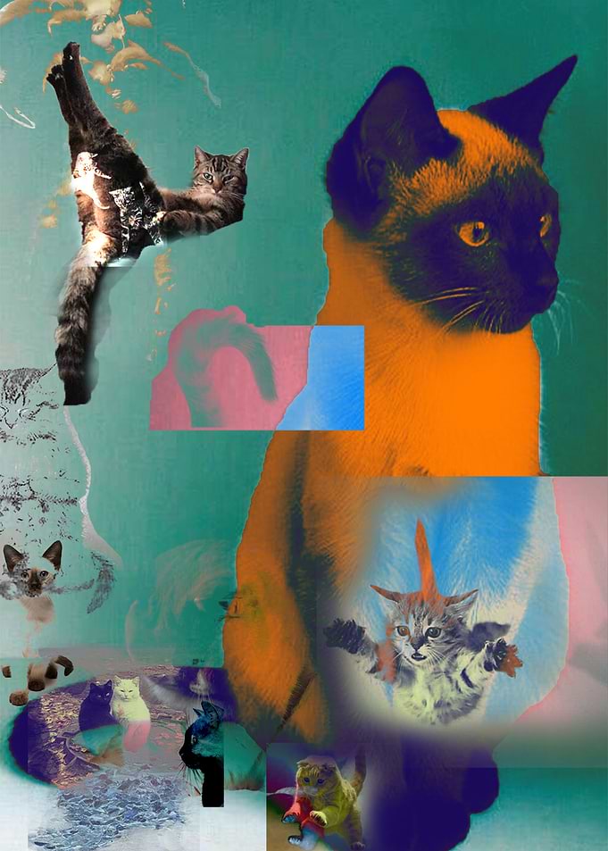 catworld