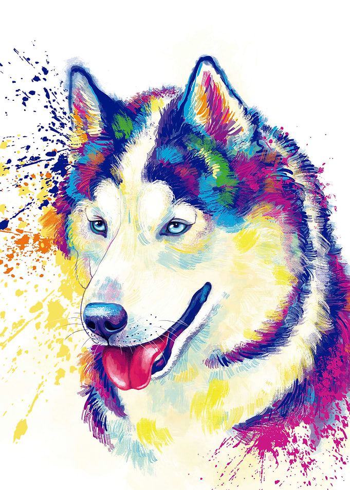 Husky Siberian