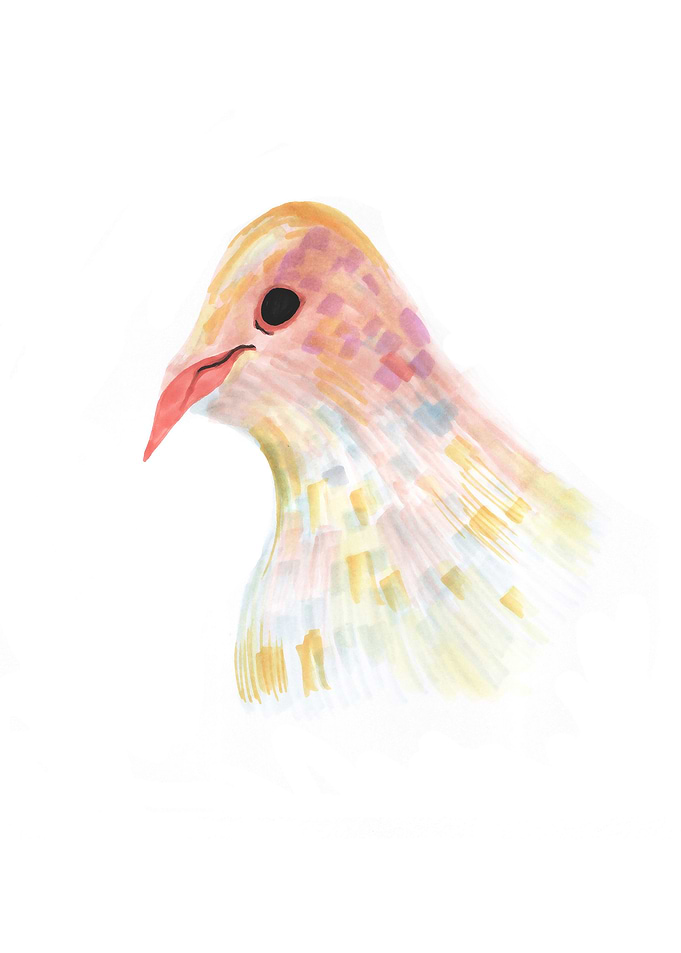 Bird Portrait