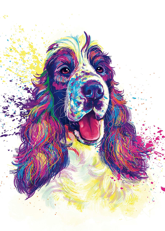 Cocker Spaniel