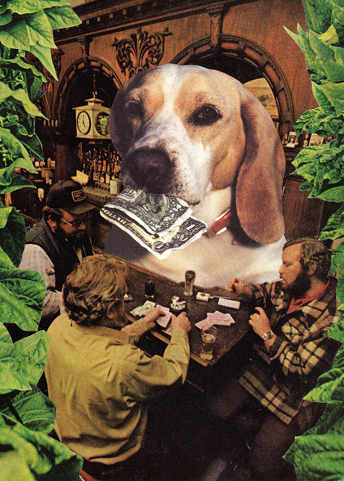 ALL IN [collage]