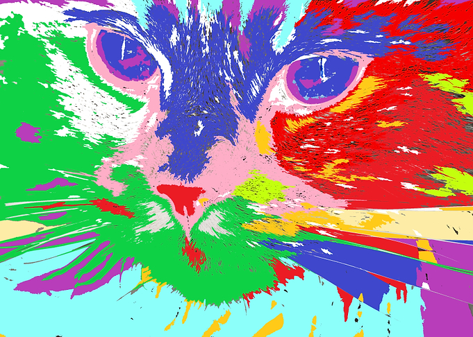 The Cat