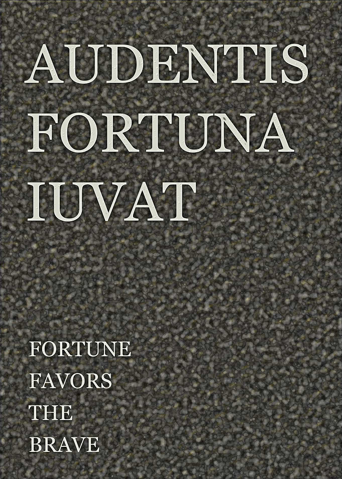 Fortune Favors The Brave