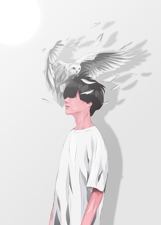 Owl Boy