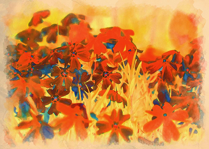 Fall Colors