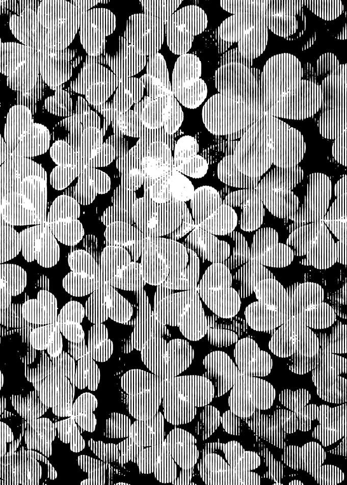 Shamrock Clover Irish