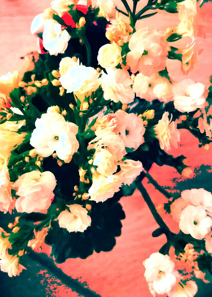 Abstract flowers