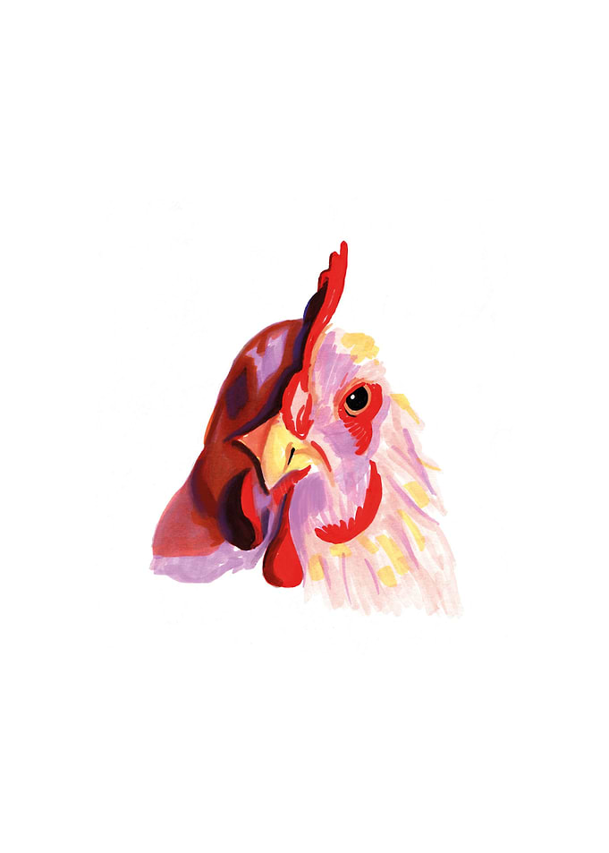 Hen portrait