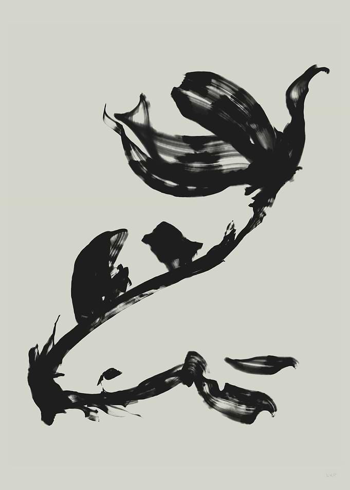 Koi Fish