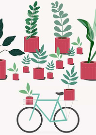 Plant Collection
