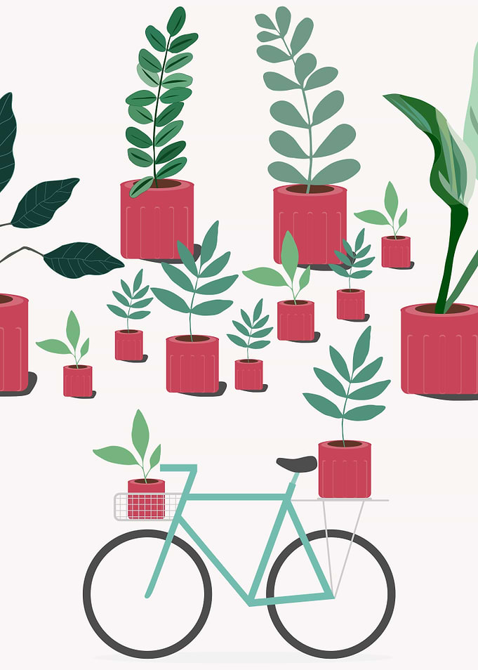 Plant Collection
