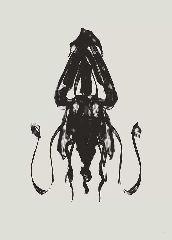 Squid