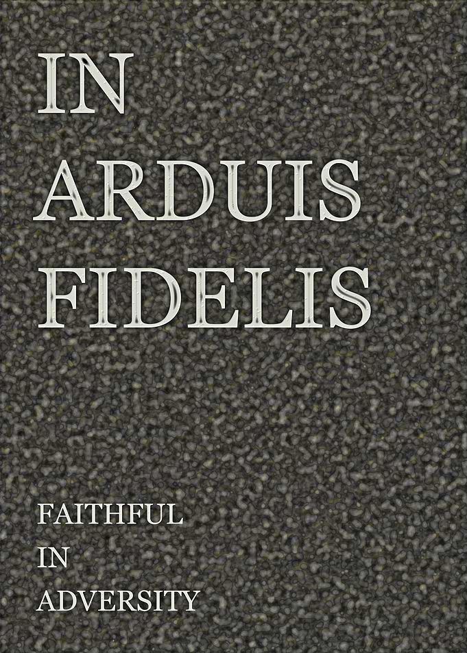 Faithful In Adversity