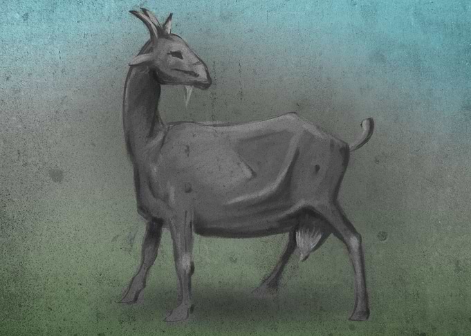 King of Goats