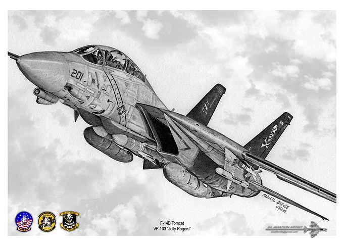 F14 Tomcat VF103