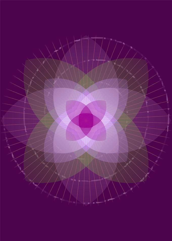 Lotus flower
