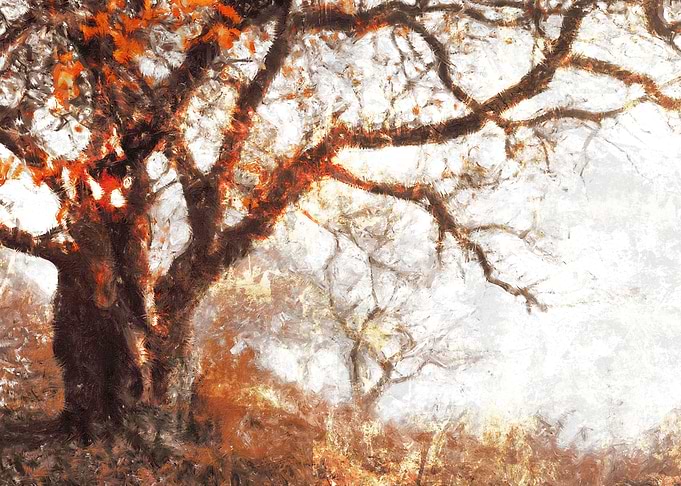 Old Tree