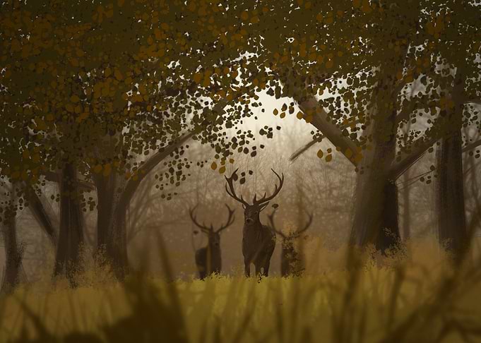 Autumn welcomers