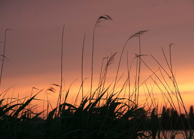 Sunset on the river