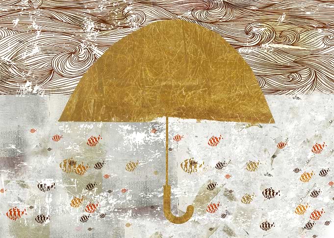 RainFish
