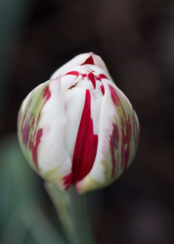 Folded flower