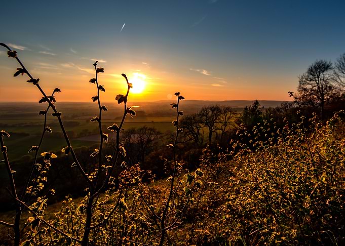 sunset