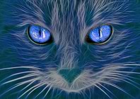 Le regard brillant I